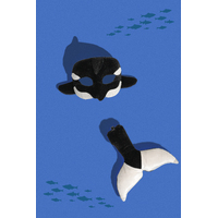 DELUXE ANIMAL SET - ORCA/WHALE 